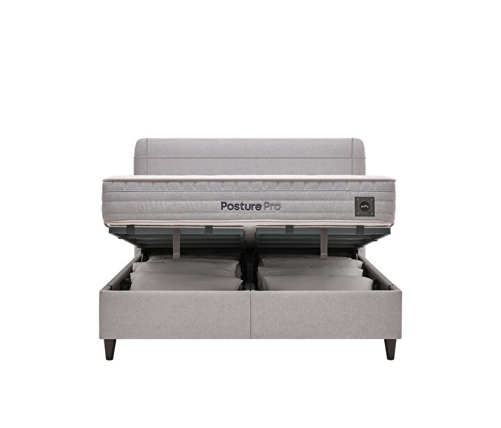 Posture Pro