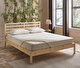 Bambu Dream